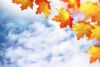 Poemas de Otoño Poemas de Otoño